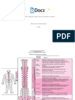 lesiones-en-la-medula-espinal-144216-downloable-579456