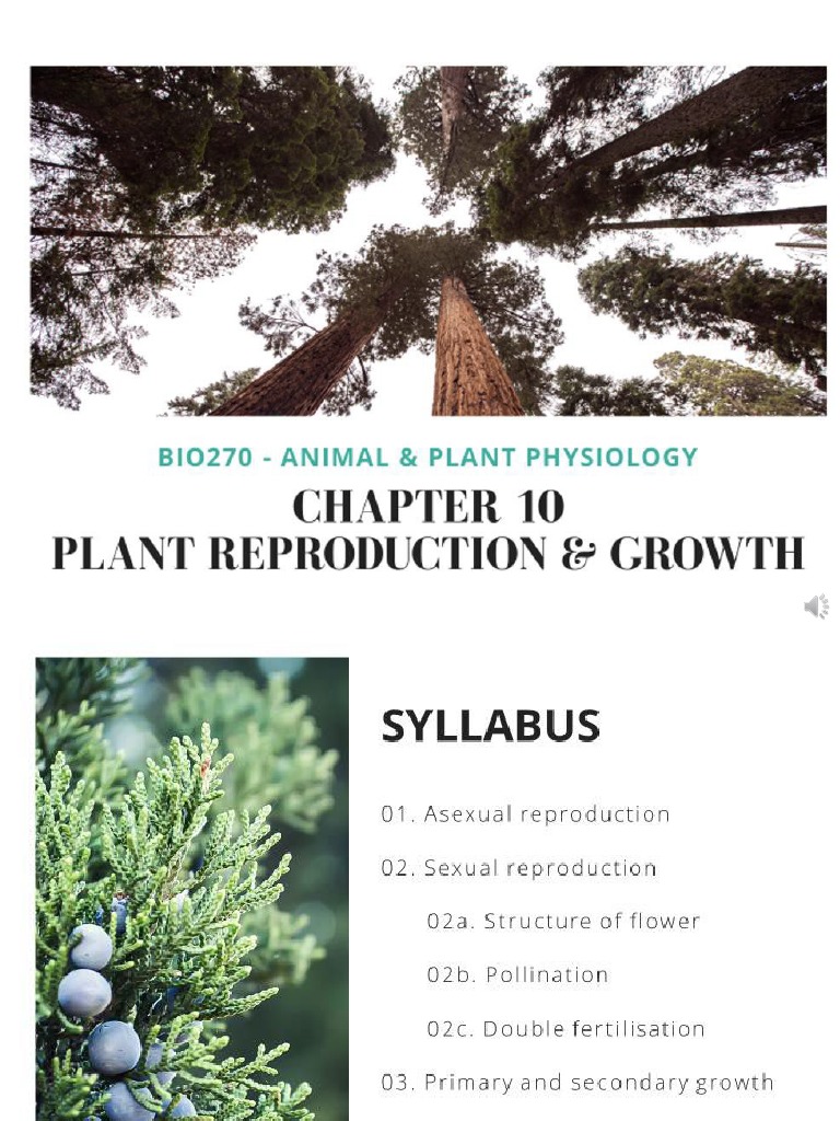 Chapter 10 Part 1 Plants Asexual Reproduction PDF Plant