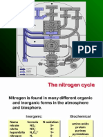 Bioquimica Nitrogeno1fin