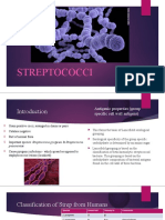 Streptococci and Enterococci