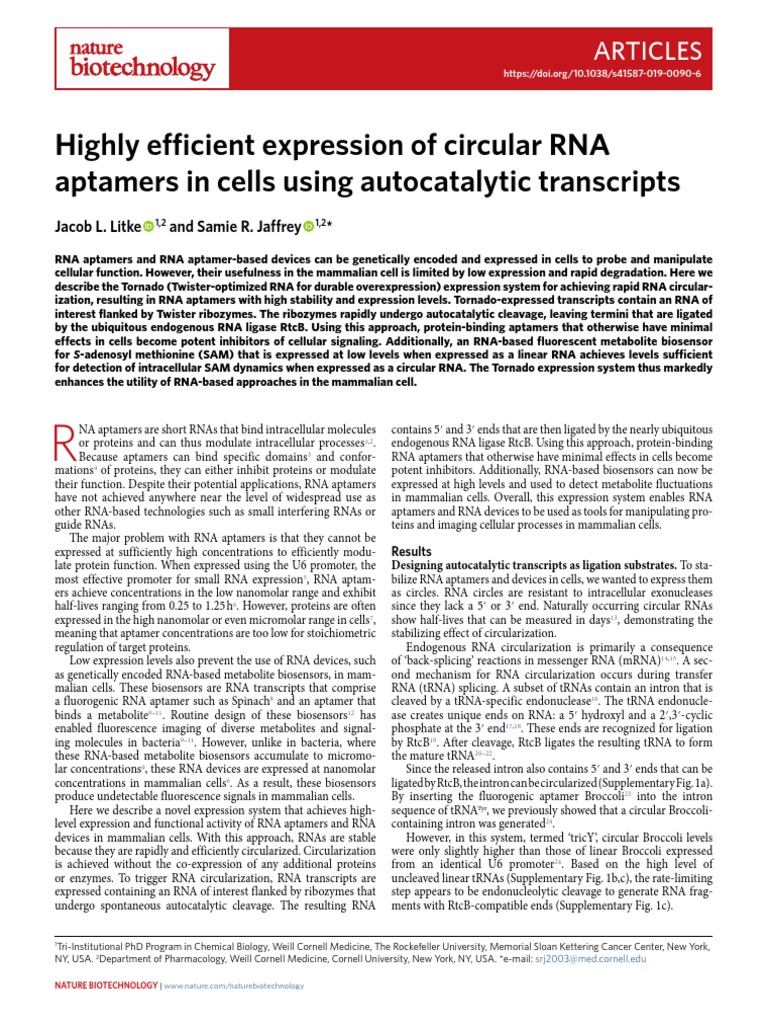 Efficient RNA Aptamer Expression System | PDF | Rna | Gene Expression