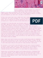 DPCC - Texto Argumentativo