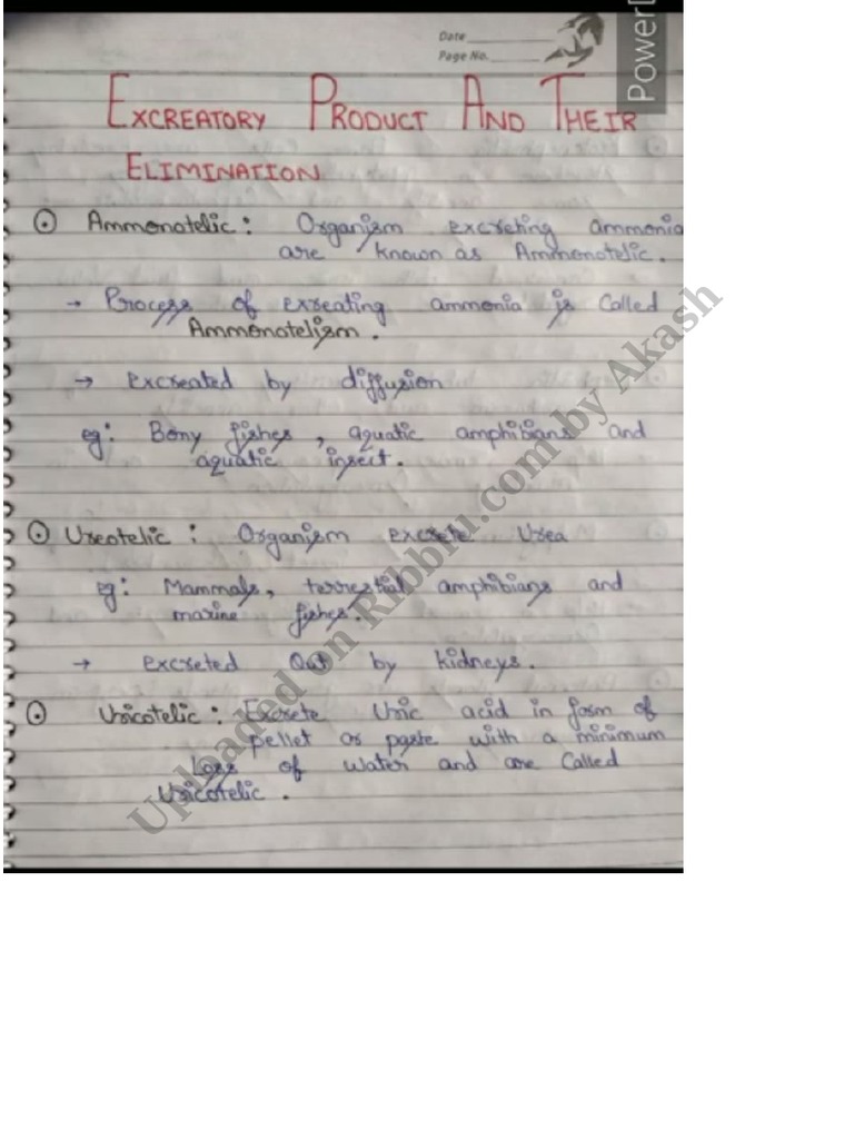 Class 11 Biology Handwritten Notes PDF 2022 Chapter 19 Excretory ...