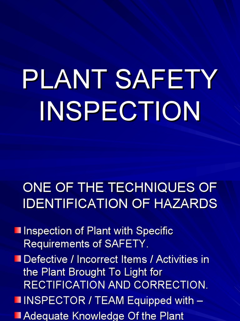Plant Safety Inspection PDF