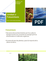 Unidad 7. Fotosíntesis