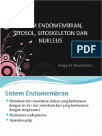 Sistem Endomembran, Sitosol, Sitoskeleton Dan Nukleus