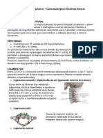 Resumo Biomec B2