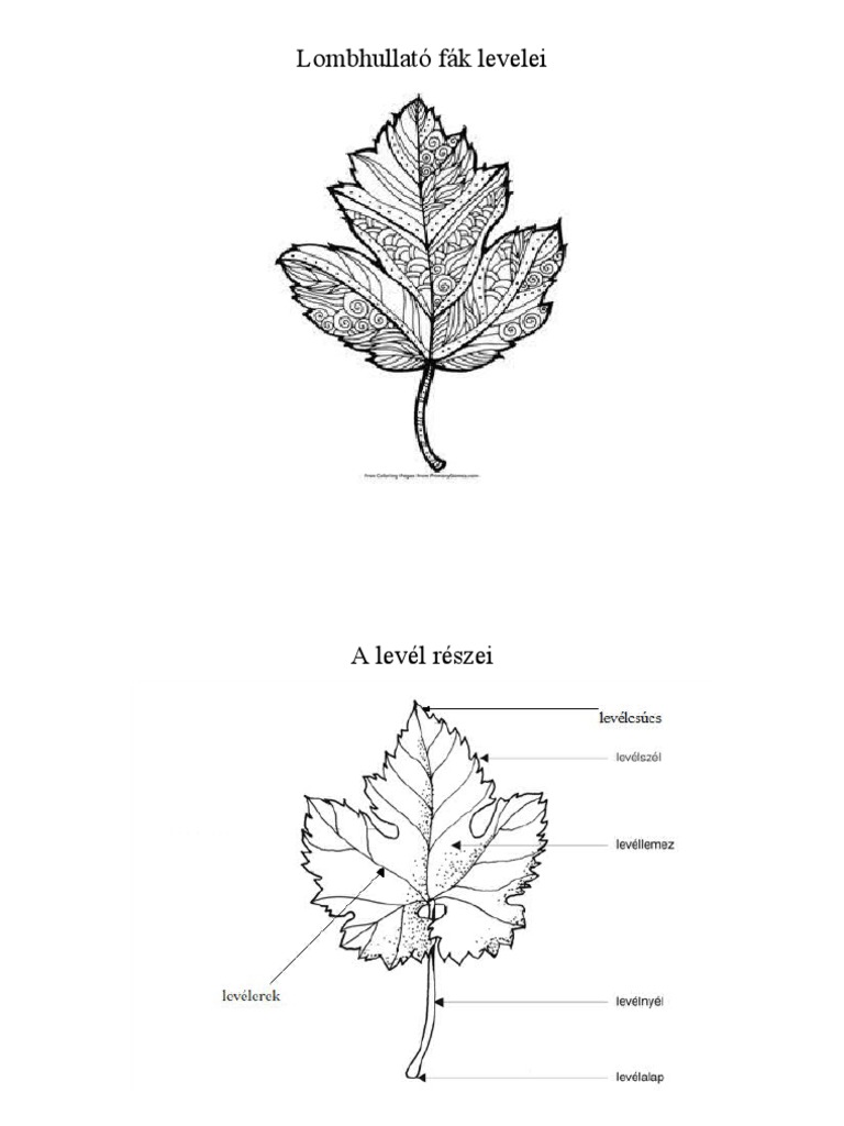Levelek Könyvecske | PDF