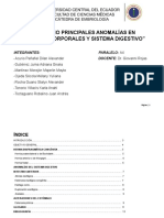 Grupo 4 - Principales Anomalías Del Sistema Digestivo