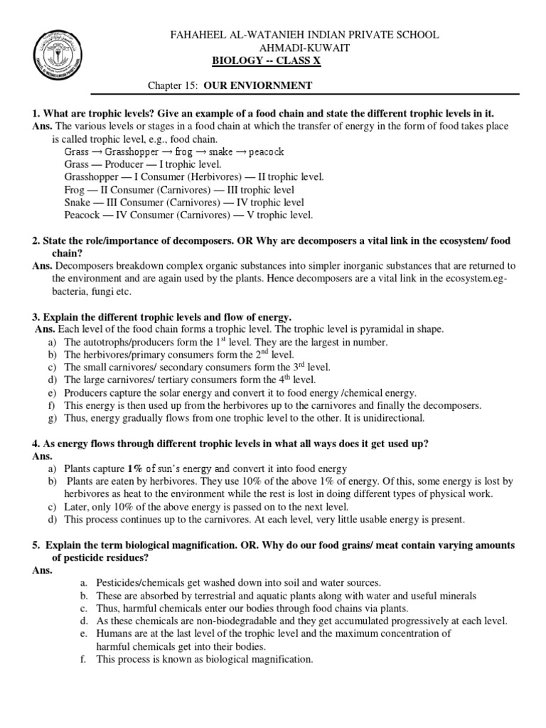 Our Environment Notes Class 10 Cbse PDF Food  Ecosystem