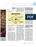 Ciclo Da Persuasão