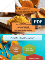 Temulawak PPT Reni Dewi Yesi Beni