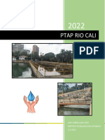 Informe 2 Cali Ptap Rio Cali