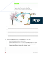 La Reproducción de Las Plantas