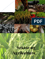 sektor-ng-agrikultura