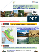Jose Alvarez - Retos y Oportunidades PDF