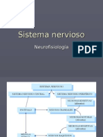 Sistemanervioso 1