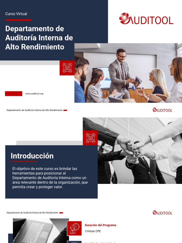 Plan De Estudios Curso Virtual Departamento De Auditoria Interna De