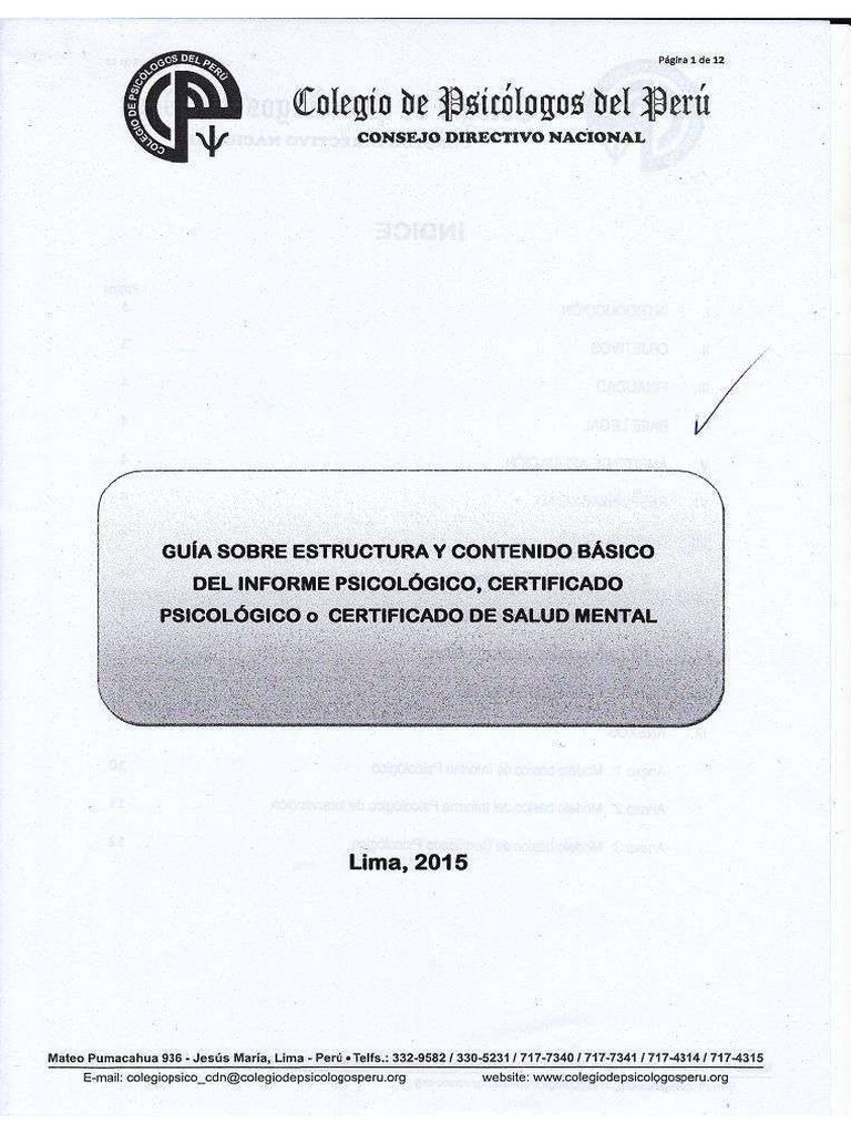 Guía de Informe | PDF