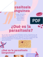Parasitosis Sanguínea