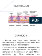 Clase4 Cicatrizacion