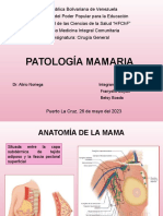 Patologia Mamaria