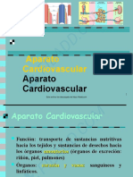 Aparato Cardiovascular