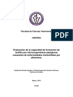 Evaluación de La Capacidad de Formación de Biofilm