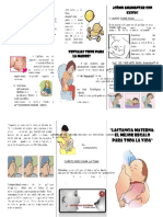 Triptico de Lactancia Materna - PDF