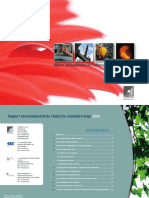 Rapport Environnemental Ciment 2006 FR