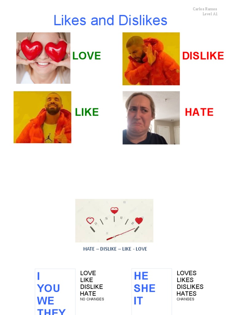 Likes and Dislikes | PDF