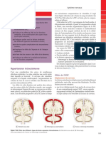 SNC Anatomie Et Physiologie Normales Et Pathologique Ross Et Wilson 12 Ed (Glissé (E) S)