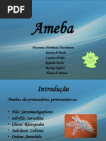 Slids Ameba