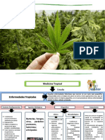 Mapas MEDICINA TROPICAL