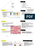 RESUMENES EIR Preguntas