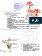 Hiperplasia Prostática