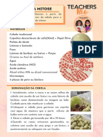 Aula Prática - Roteiro para Preparar As Lâminas de Mitose