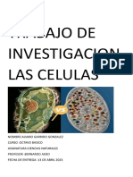 Trabajo de Investigacion Las Celulas