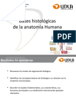 La Anatomía Humana (