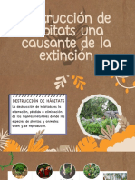 Presentacion (169) Animales y Naturaleza Ilustrado Café y Verde