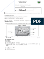 Prueba 4 Aã - o Ecosistema