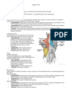 Upper Limb Muscles