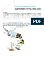 CIENCIAS NATURALES 6 - Las Relaciones Tróficas