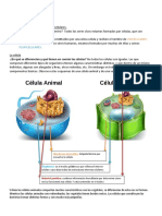 CIENCIAS NATURALES 10 - Las Células