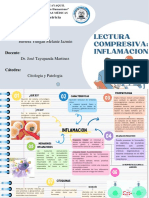 Inflamacion:mediadores, Citoquimas, Entramado Citoquinico, Respuestas Del Organismo - Herrera Yungan Melanie