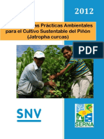 Guia de Buenas Practicas Ambientales para El Cultivo Sustentable Del Pinon Jatropha Curcas