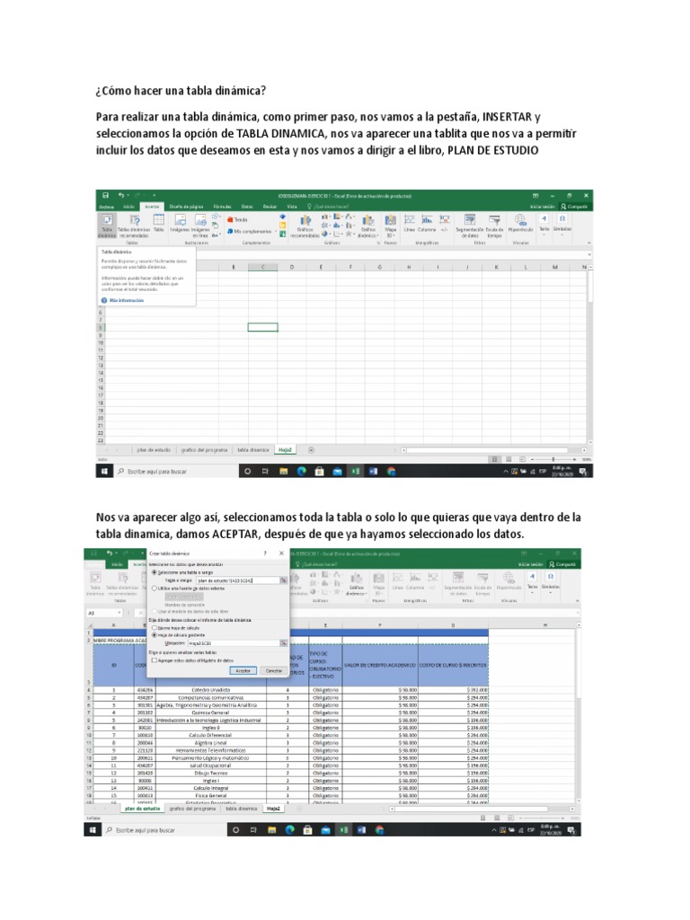 Cómo Hacer Una Tabla Dinámica | PDF