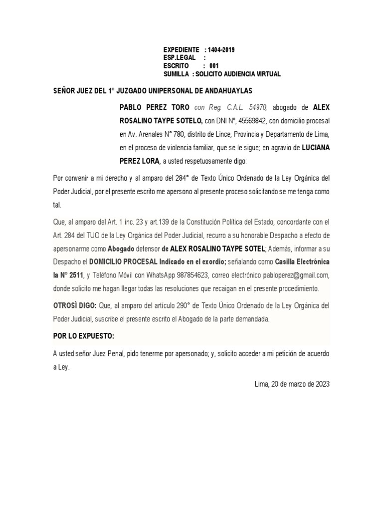 Solicito Audiencia Virtual Pdf