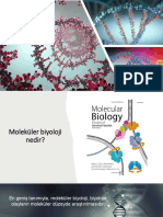 PSİ Biyoloji - DNA Gizemi