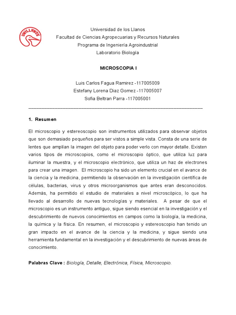 Informe 2 | PDF